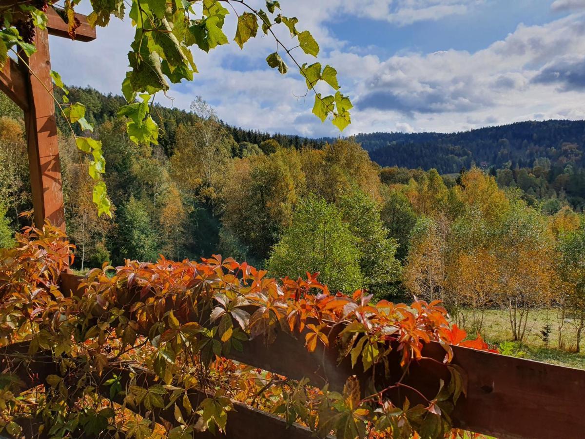 Ferienwohnung Ksiezycowa Dolina Lądek-Zdrój Exterior foto