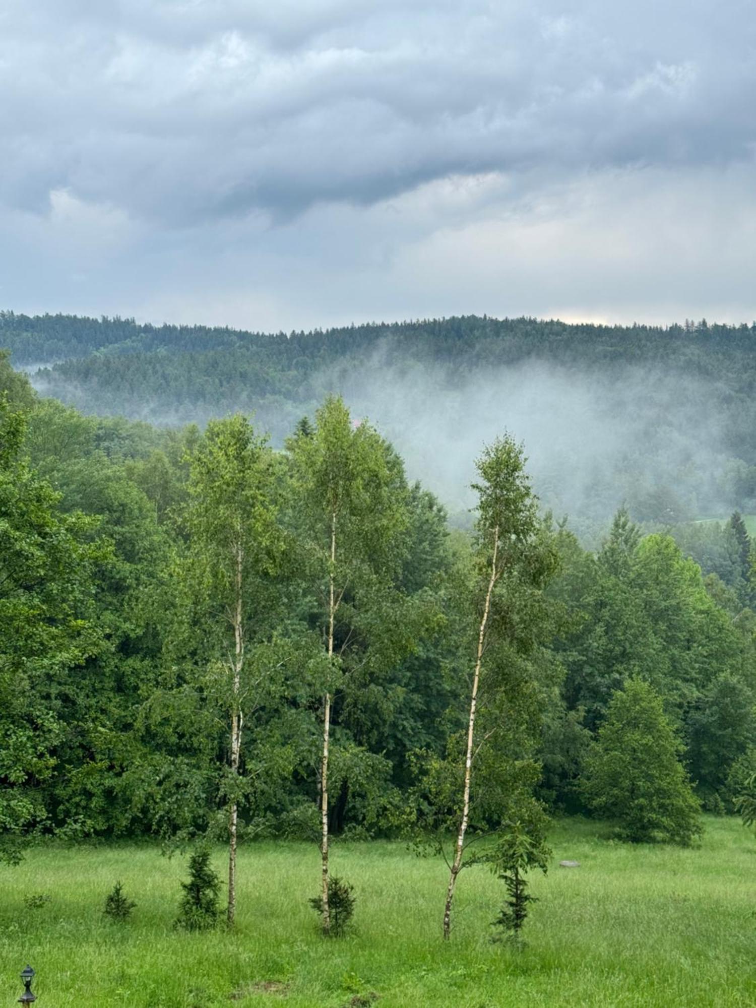 Ferienwohnung Ksiezycowa Dolina Lądek-Zdrój Exterior foto